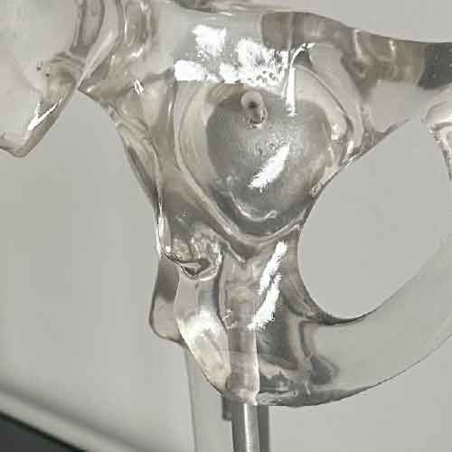 Das Leistungsspektrum der Orthopädie-Praxis in Springe umfasst die Behandlung akuter und chronischer Beschwerden, einschließlich Rücken- und Gelenkschmerzen, Sportverletzungen sowie degenerativen Erkrankungen wie Arthrose. Neben der klassischen Orthopädie werden auch moderne Verfahren wie die Ultraschall- und Röntgendiagnostik eingesetzt, um präzise Diagnosen zu stellen. Zusätzlich bietet die Praxis verschiedene konservative Therapien an, darunter Physiotherapie, Manuelle Therapie und Injektionstherapien.